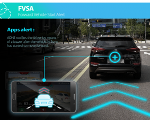 fvsa