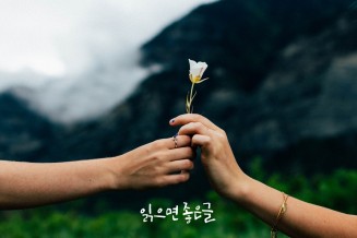 짧고좋은글귀 전해주는 읽으면좋은글 명언앱 1만 다운로드 돌파